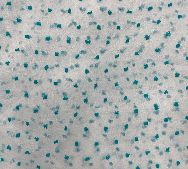 Madonna Organza Dyed Fabric (Two Tone)(Sky Blue on White 7)